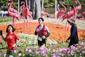 BIB: 
                            <button type="button" onclick="openModal(27793507)" class="btn btn-primary btn-sm float-right btn-popup" data-toggle="modal" data-target=".modal-high-quality">
                        <i class="fas fa-shopping-cart"></i> Add to Cart
                    </button>
                                            <button type="button" onclick="isThisMe(27793507, true)" class="btn btn-success btn-sm float-right btn-popup btn-isme hidden" data-toggle="tooltip" data-placement="bottom" title="นี่คือรูปของคุณใช่ไหม คลิกที่นี่เพื่อเอาเข้าอัลบั้ม">
                        <i class="fas fa-plus"></i> Add to album
                    </button>
                    <button type="button" onclick="isThisMe(27793507, false)" class="btn btn-warning btn-sm float-right btn-popup btn-isnotme hidden">
                        <i class="fas fa-ban"></i> Remove from album
                    </button>